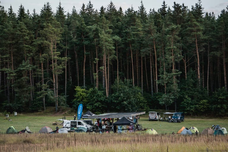 Pathfinder basecamp of tents, vans and a wooden shelter on a meadow at the edge of a pine forest.
