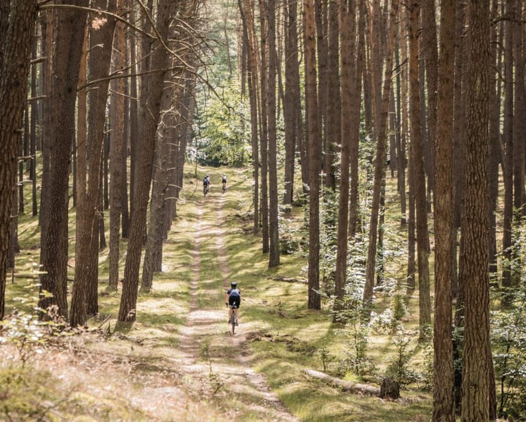 Three riders spread out along a sandy track through tall pines on the 8bar Pathfinder in Germany.