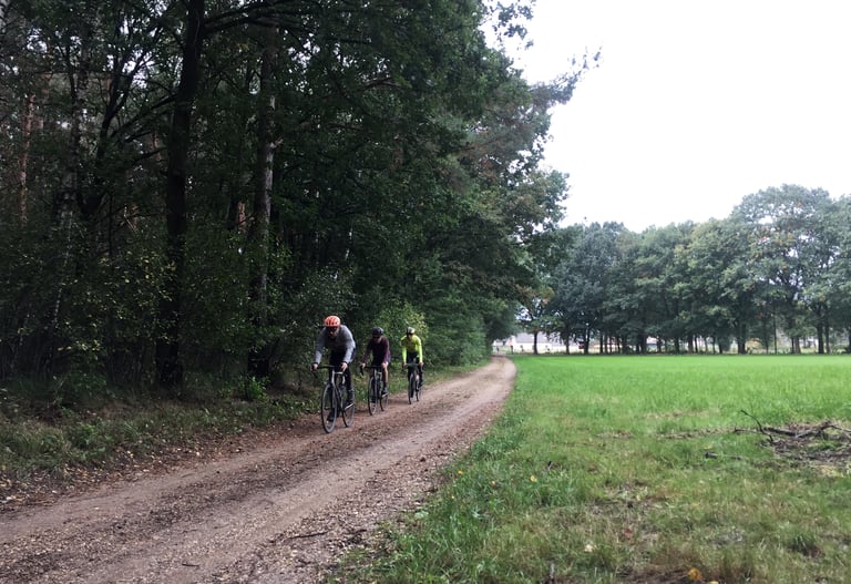 Three riders roll along a sandy track between forest and meadow on the Backyard Breakaway course.
