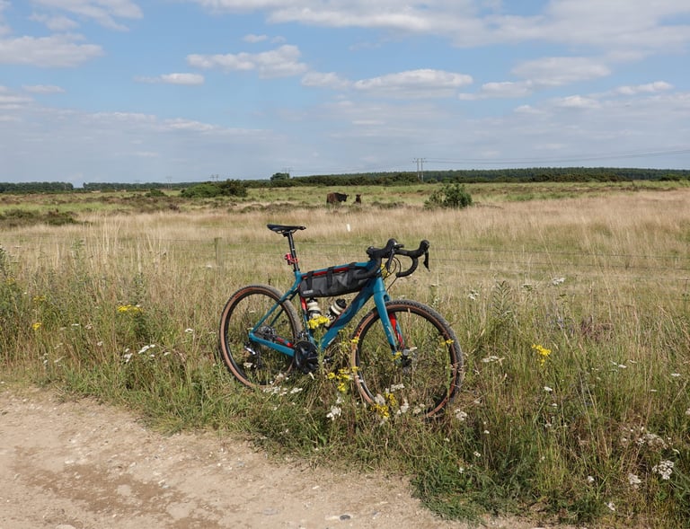 Wilier Jena on 650b tan-wall tyres standing in long grass by a wire fence, with cattle grazing on the heath behind.