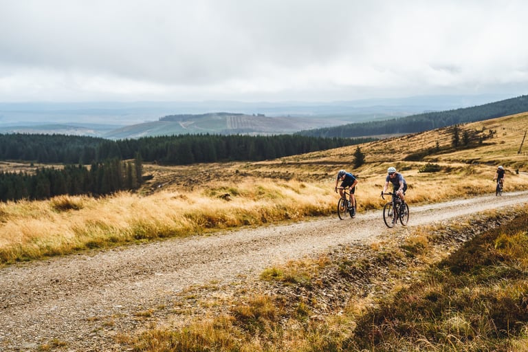 Three riders on gravel bikes climb a stony forest road with rolling Border hills behind them.