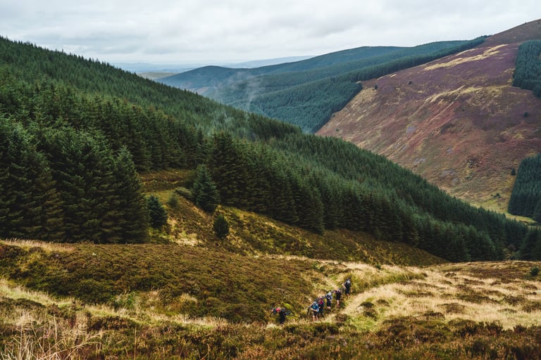 Riders push their bikes up a steep grassy hillside between conifer plantations in Scottish Border hill country.