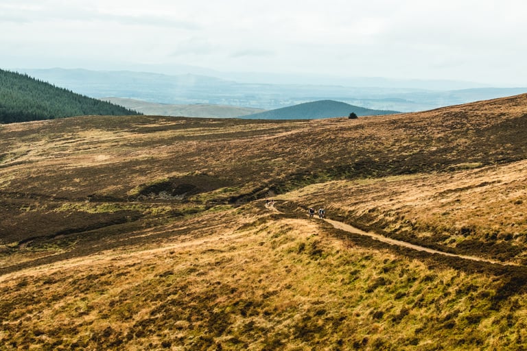 Two riders follow a narrow track across open Scottish Borders moorland with hazy hills beyond.