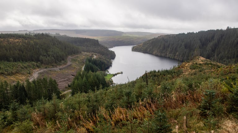 View over a forested reservoir valley in Mid Wales from the Wildcat 100 route.