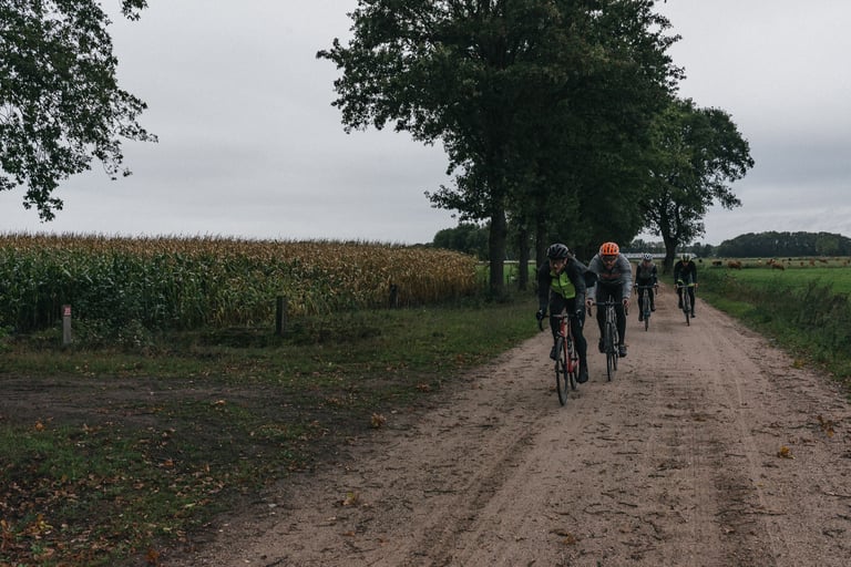 Four riders on a sandy gravel track beside a maize field during the Kings of the Gravel segment.