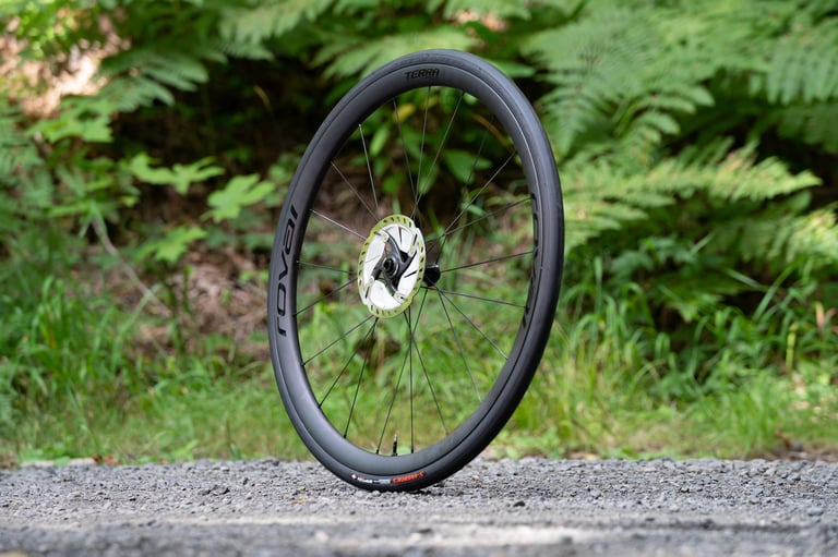 Roval Terra CLX carbon gravel wheel with disc rotor, standing upright on gravel in front of ferns.