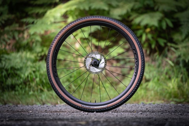 Roval Terra CLX EVO 650b gravel wheel with a tan-wall tyre standing upright against a green fern backdrop.