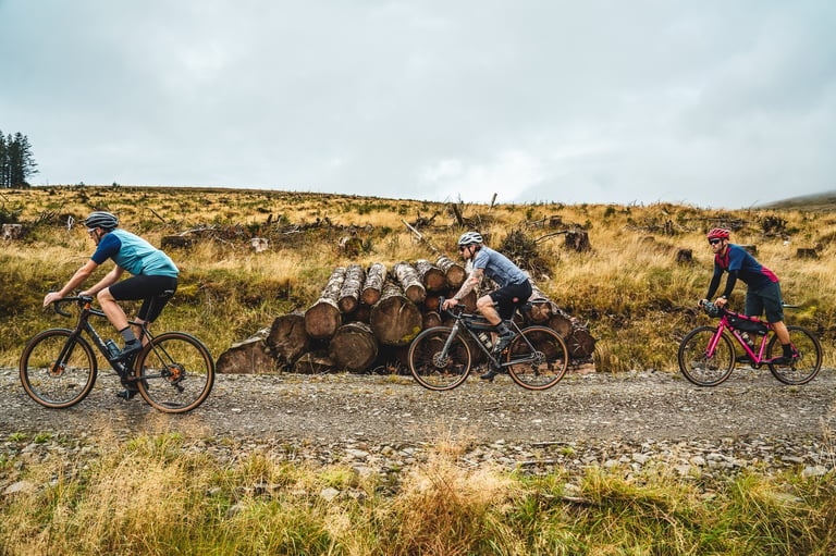 Three riders on Salsa gravel bikes pass a stack of felled logs on a stony forest road.