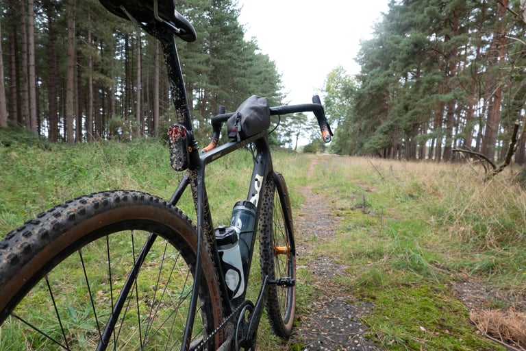 Muddy Salsa Warroad seen from behind on a forest track, its bowed seatstays framing the rear wheel.