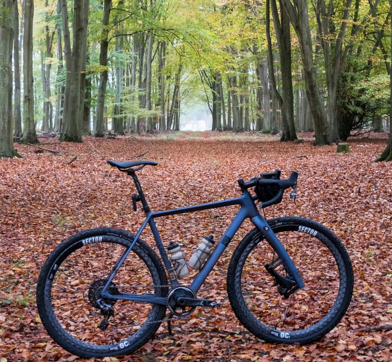 Lauf True Grit gravel bike with Sector GCi wheels stands on a track of fallen leaves in Brecklands woodland.