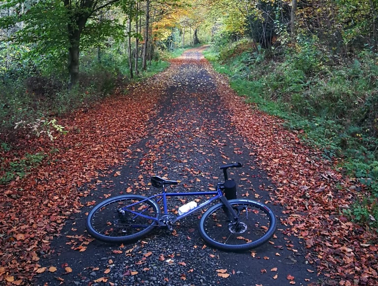 Blue gravel bike on Vittoria Terreno Dry tyres lying on a leaf-covered woodland track in autumn.