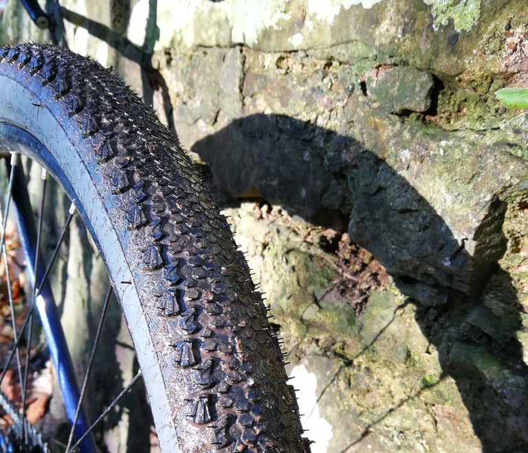 Vittoria Terreno Dry tyre on a blue bike casting a shadow on a mossy stone wall, sunlit tread knobs visible.