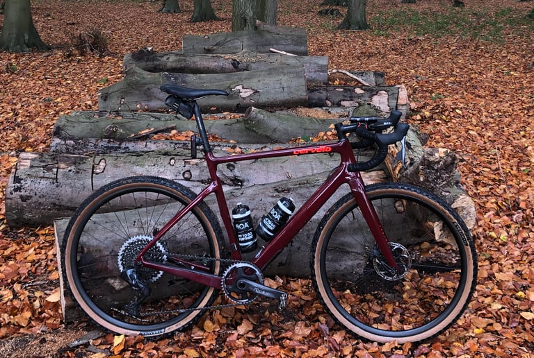 Teravail Rutland 650b tan-wall tyres on a dark red Cervelo Aspero gravel bike, leaning on logs in autumn woodland.