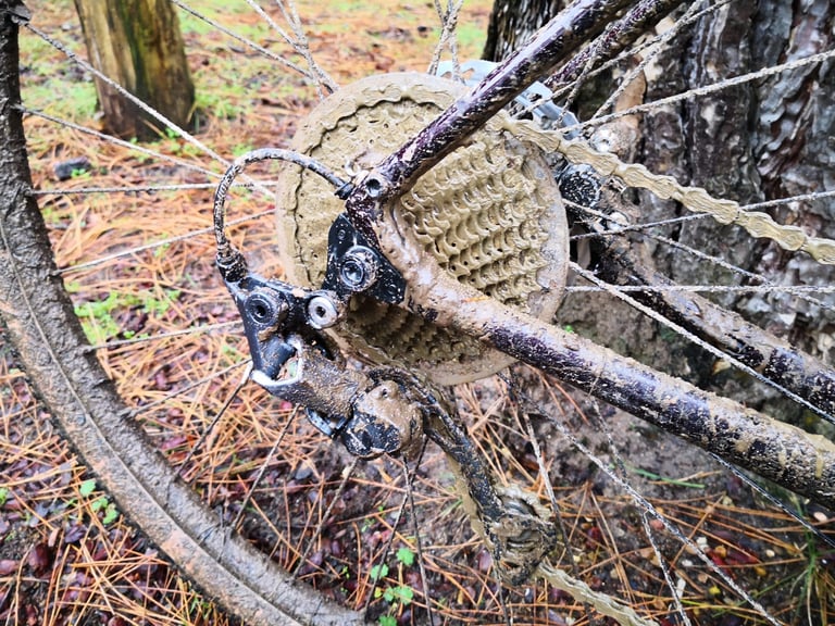Mud-caked rear derailleur, cassette and chainstay on the Pinnacle Arkose D3 after a wet test ride.