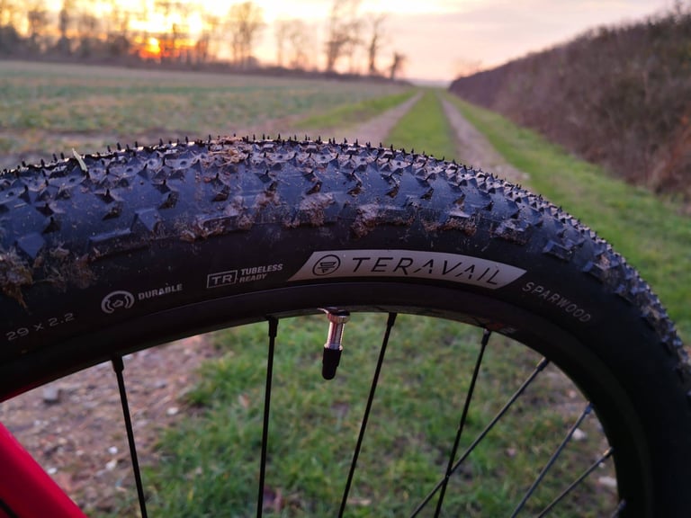 Teravail Sparwood 29 x 2.2 tubeless-ready tyre on the Salsa Cutthroat, with valve visible at the rim.