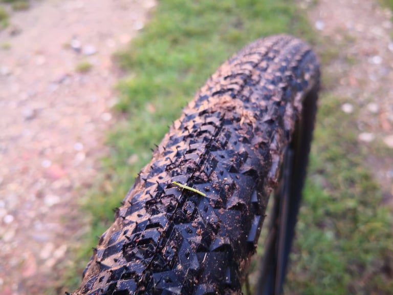 Close-up of the Teravail Sparwood tread on the Salsa Cutthroat, with mud caught between the knobs.
