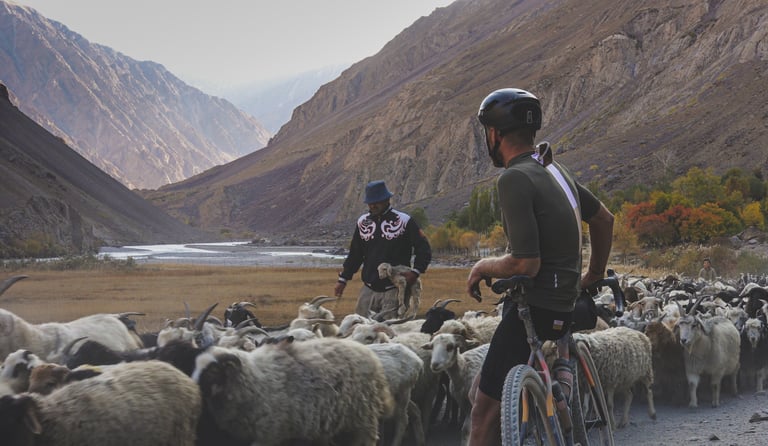 Rider on a gravel bike stops among a herd of sheep and goats while a herder walks past in a Tajikistan valley.