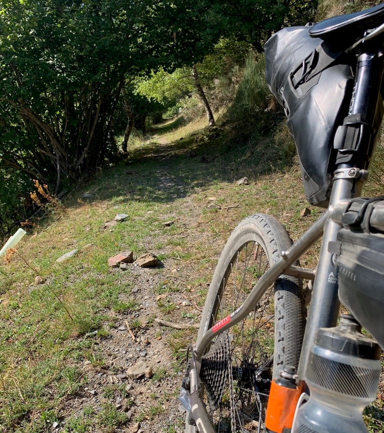 Rear of a loaded gravel bike beside a steep, overgrown woodland track on a Further race sector.