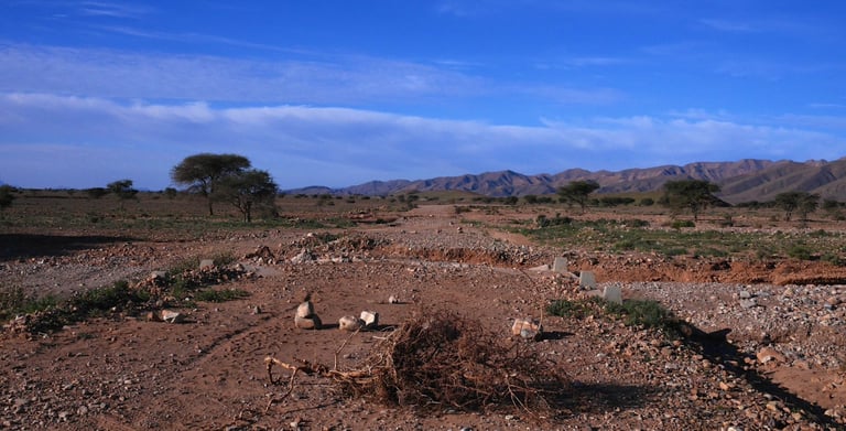 A dry, stony riverbed with scattered trees and mountains beyond, the kind of rough Moroccan ground the race crosses.
