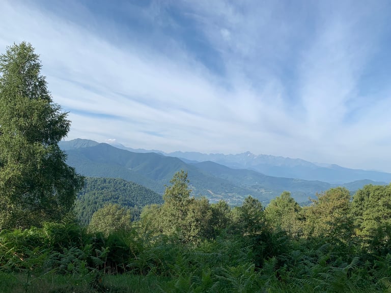 Forested hills and distant Pyrenees peaks under wispy cloud, seen from a high track on the Further route.