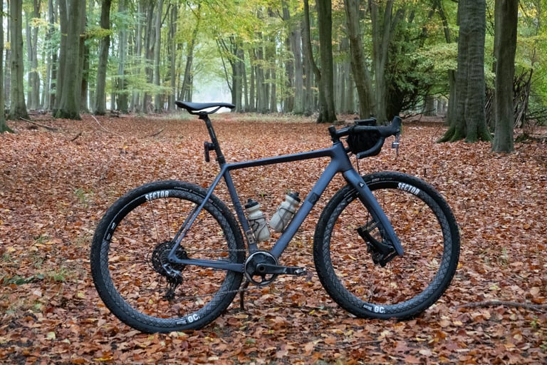 Lauf True Grit gravel bike with Sector GCi wheels and two bottles, standing in a wood carpeted with fallen leaves.