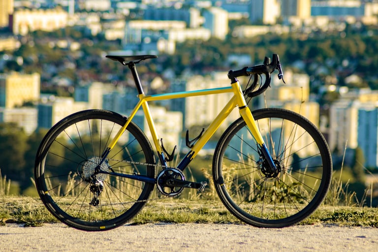 Handmade Wish One SUB with a Columbus steel frame and SRAM 1x drivetrain, photographed against a blurred town.