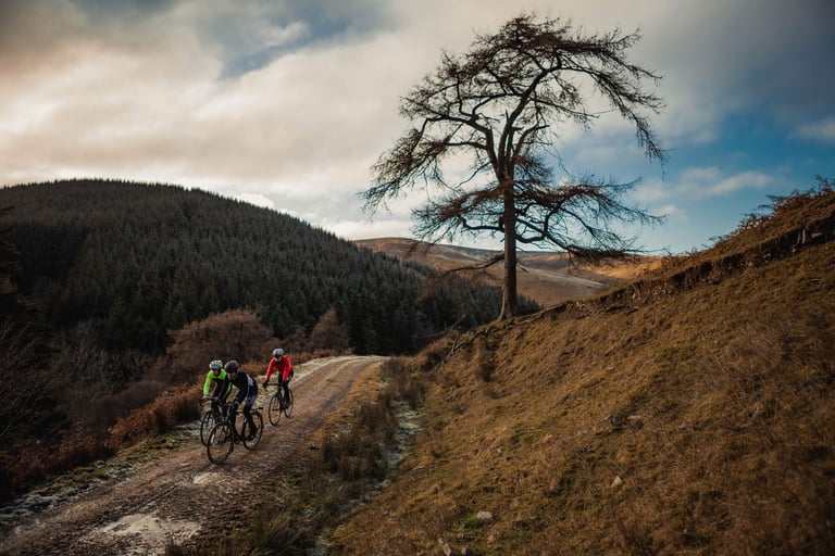 Three cyclists ride a forest gravel track below a bare tree and conifer-covered hillside in the Scottish Borders.