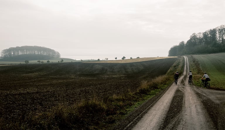 Three gravel riders climb a rutted dirt road past ploughed fields and woods on the Skåne500 in southern Sweden.