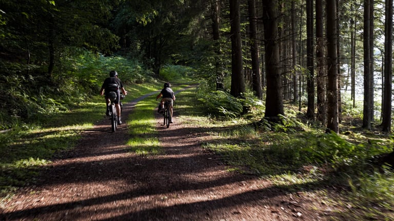Clem and Lubin ride away down a sunlit forest track, bags on their bikes, on Lubin's first overnight bike trip.