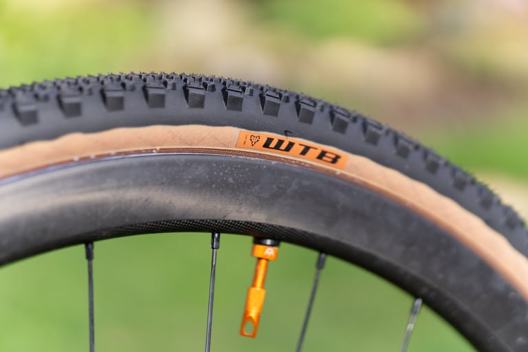 WTB Raddler 700 x 40 tyre with tan sidewall and orange WTB label on a black rim with an orange tubeless valve.