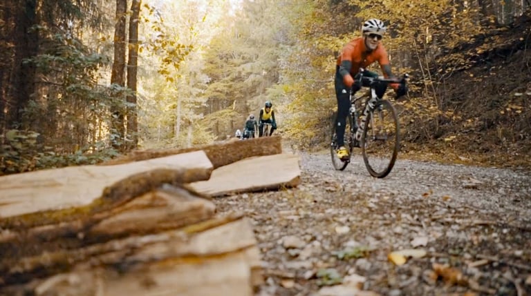Gravel riders on a leaf-strewn forest track in autumn during the LtD Gravel Fest in Limburg.
