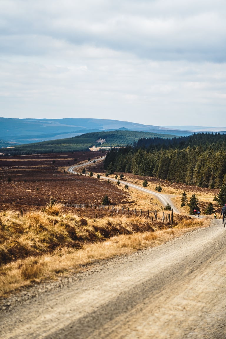 Gravel road winds across moorland and forest in Northumberland at the Dirty Reiver, with riders in the distance.
