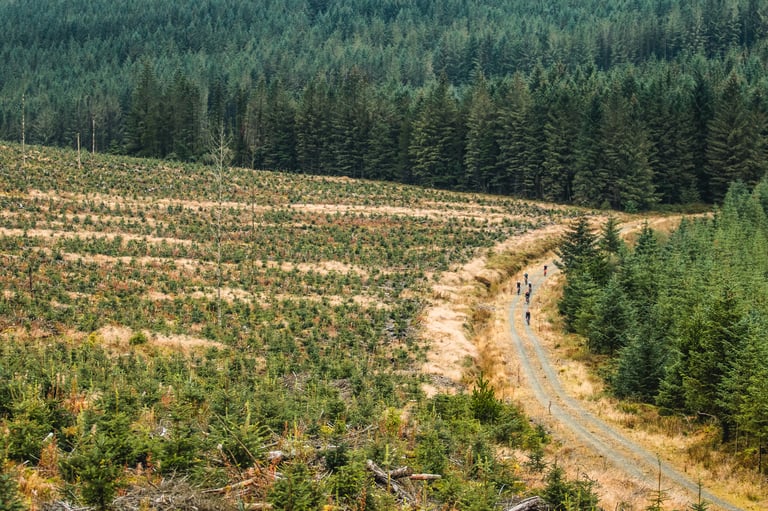 Riders on a forestry track through conifer plantation in the Scottish Borders, shot for the Frontier 300.