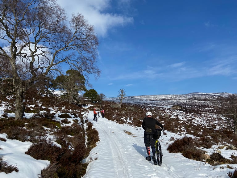 Bikepackers push their bikes up a snowy double track through birch woodland in the Cairngorms.