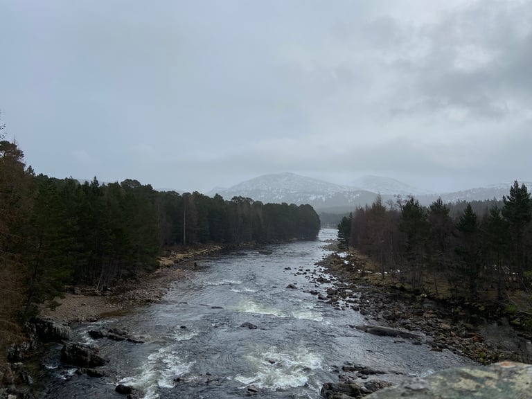 River running through pine woodland with snow-dusted hills beyond, seen near Balmoral on the Cairngorms ride.