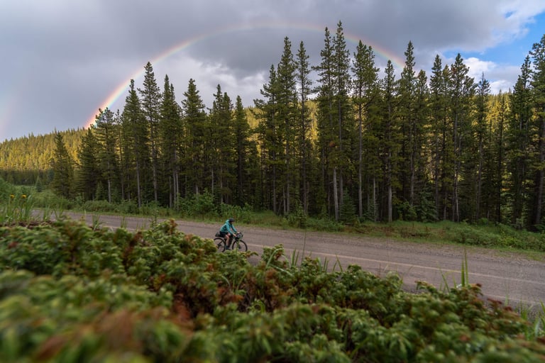 A rainbow arcs over pine forest as a bikepacker rides a gravel road in the Canadian Rockies.