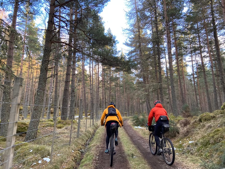 Two bikepackers ride a gravel track through Scots pine woodland in the Cairngorms.