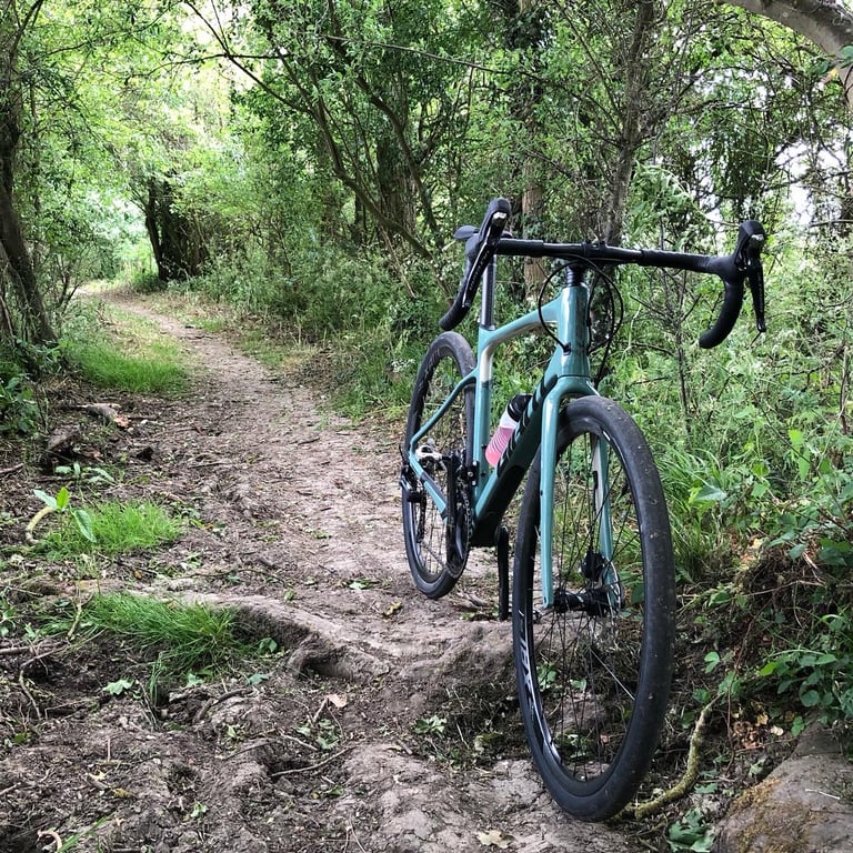Giant Revolt Advanced 0 standing on a rooty singletrack trail through woodland during the test.