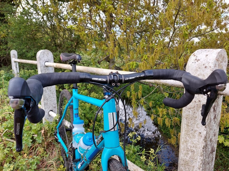 Front view of Genetic Driser 4-10 bars with padded tops and Shimano levers, on a blue bike by a concrete rail fence.