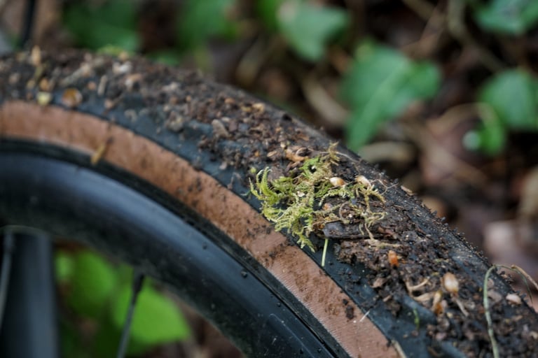 Close-up of a Pathfinder Pro tyre sidewall clogged with mud and moss after a wet ride on the Specialized Diverge.