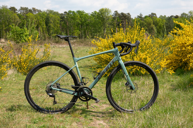 Side view of the Giant Revolt Advanced 0 with sloping top tube and dropped seatstays, parked among yellow-flowered scrub.