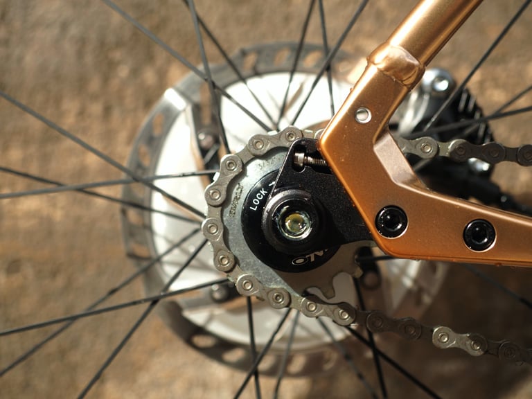 Surly stainless singlespeed cog and chain at the Stormchaser's rear dropout, with disc brake behind.