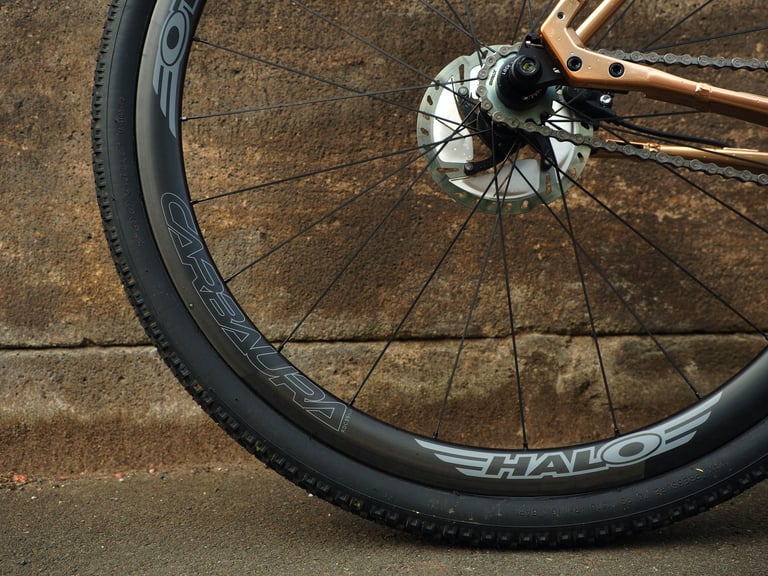 Rear Halo Carbaura wheel with a Surly Knard tyre and disc brake on the gold Salsa Stormchaser.