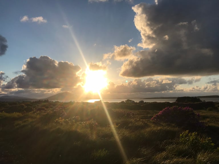 Sun sets over a bay and heathland dotted with pink rhododendrons at the Achill Island campsite.