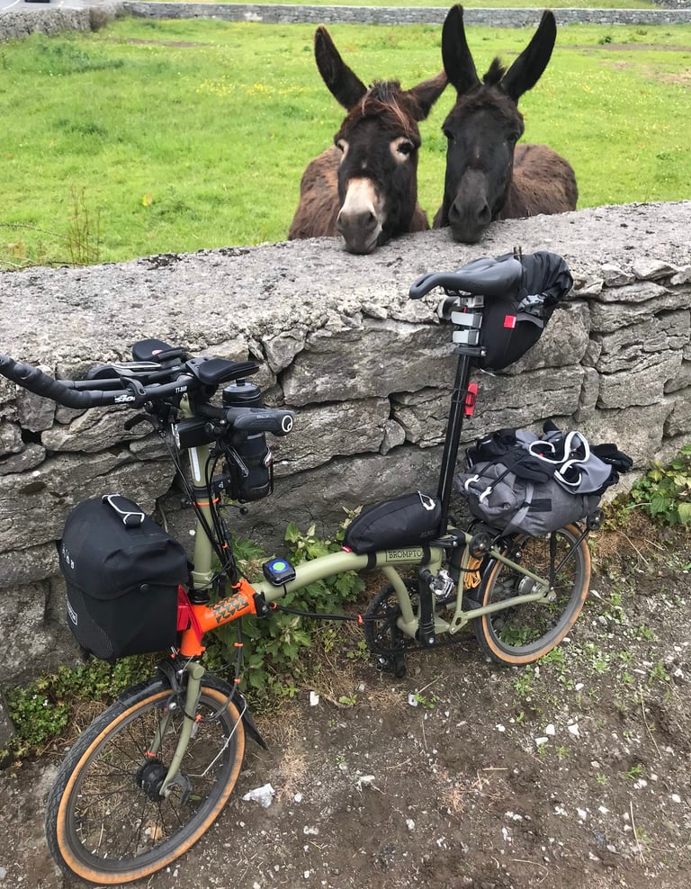 Two donkeys look over a stone wall at a loaded Brompton with aerobars and bags on the TransAtlantic Way.