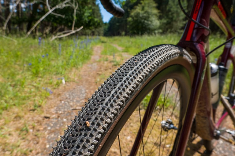 Hutchinson Touareg gravel tyre fitted to a maroon bike, facing a grassy forest track in the sun.
