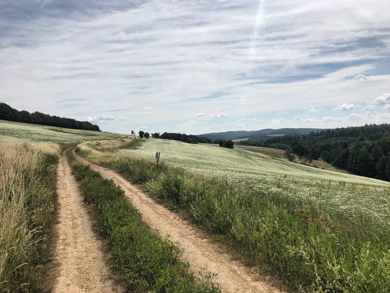 Sandy double-track through rolling fields and woodland along the former inner German border on the Grenzsteintrophy.