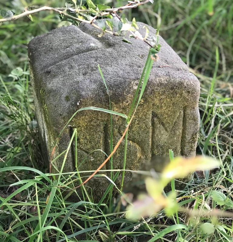 Weathered stone border marker in long grass on the former inner German border, as followed by the Grenzsteintrophy.