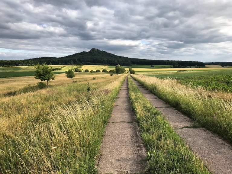Grass-grown concrete Panzerweg track crossing open farmland towards a wooded hill on the Grenzsteintrophy.