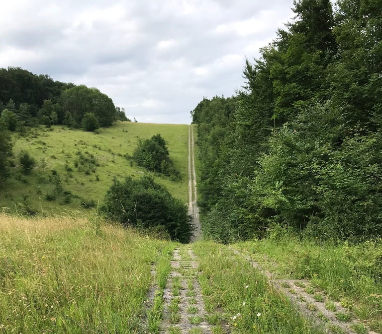 Concrete panzer plates of the Kolonnenweg plunging straight down and up a steep grassy hillside like a rollercoaster.